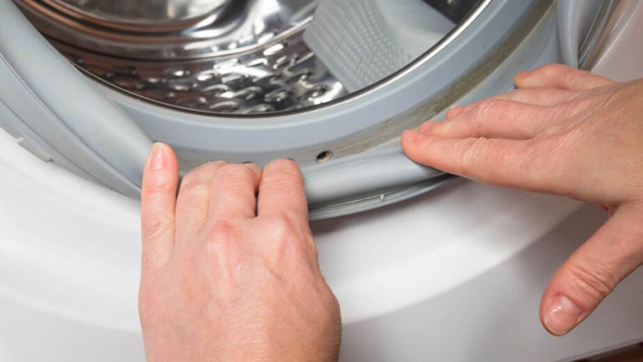 How to Remove Mold From a Washer Gasket